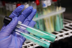 ręka w rękawicy lateksowej z dwoma fiolkami do badania laboratoryjnego